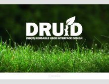 DRUID Logo Design